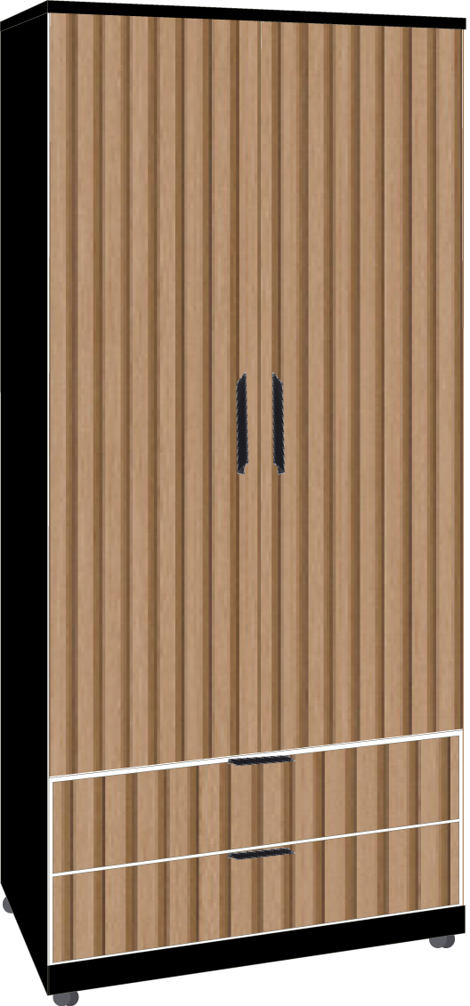 31. 2 Door 2 Drawer Robe (BLACK)